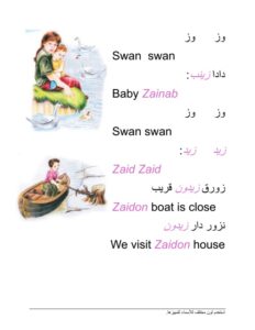 Read more about the article Swan Swan